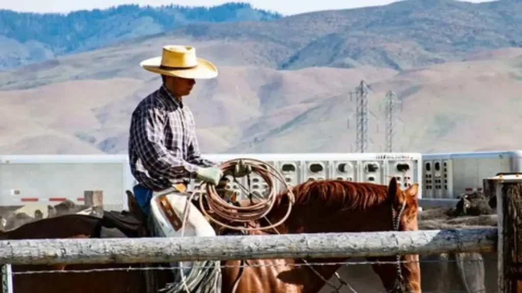 cowboy pick up lines