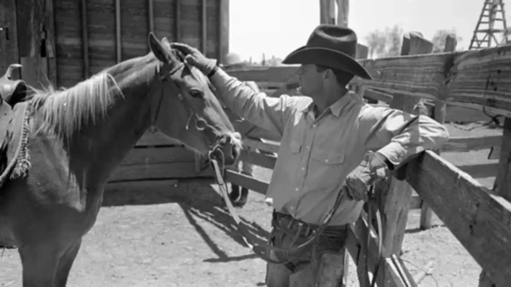 cowboy pick up lines