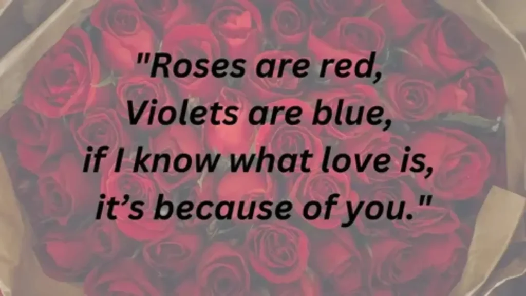 roses are red violets are blue pick up lines