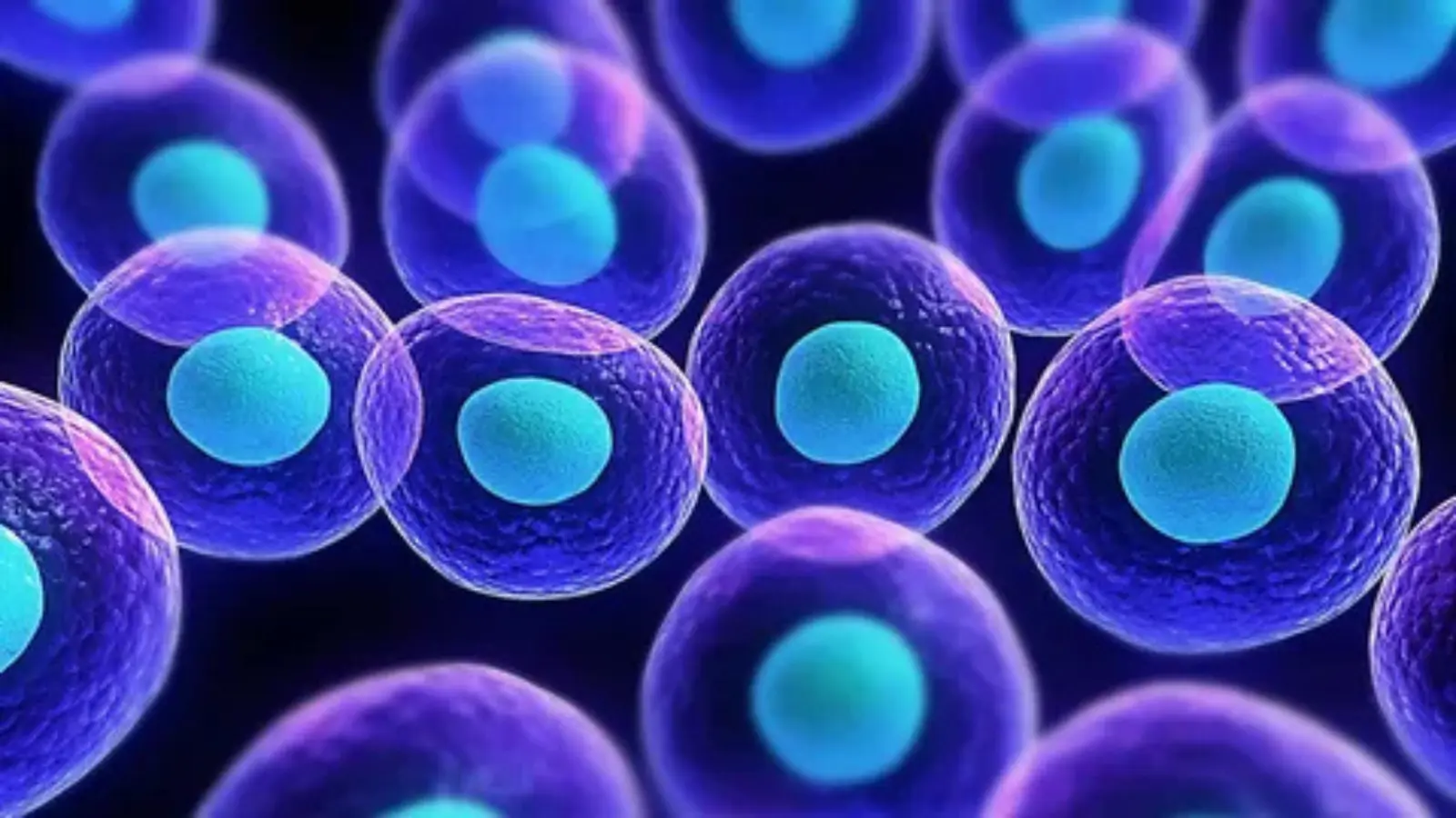 cell pick up lines
