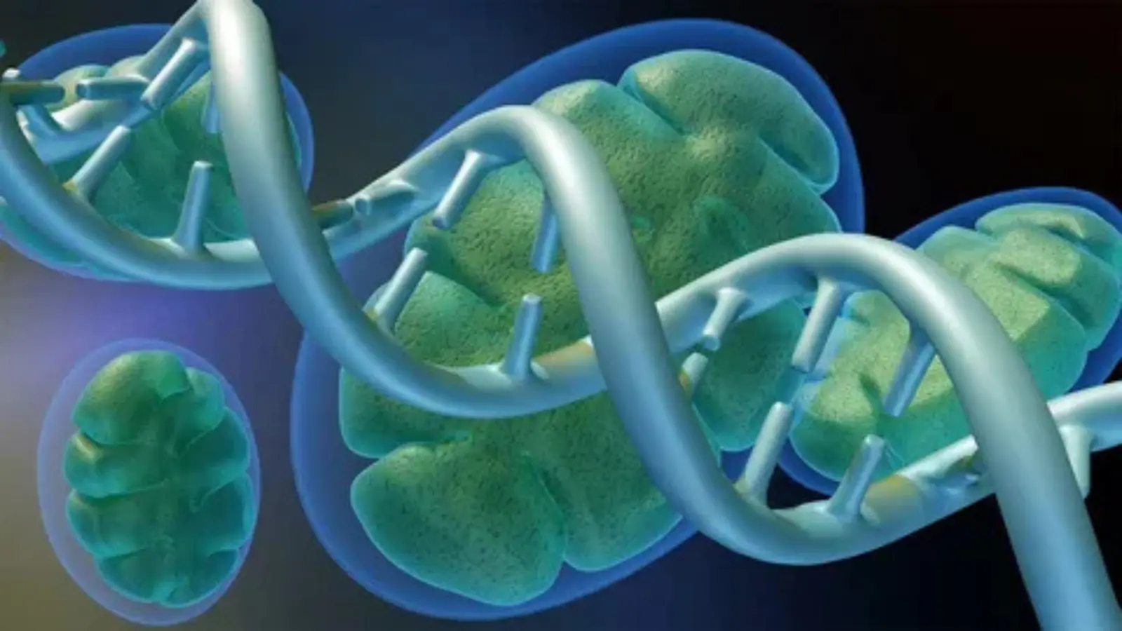 mitochondria pick up lines