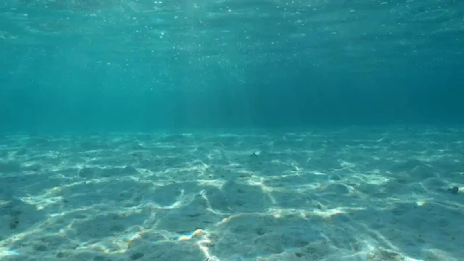 ocean pick up lines