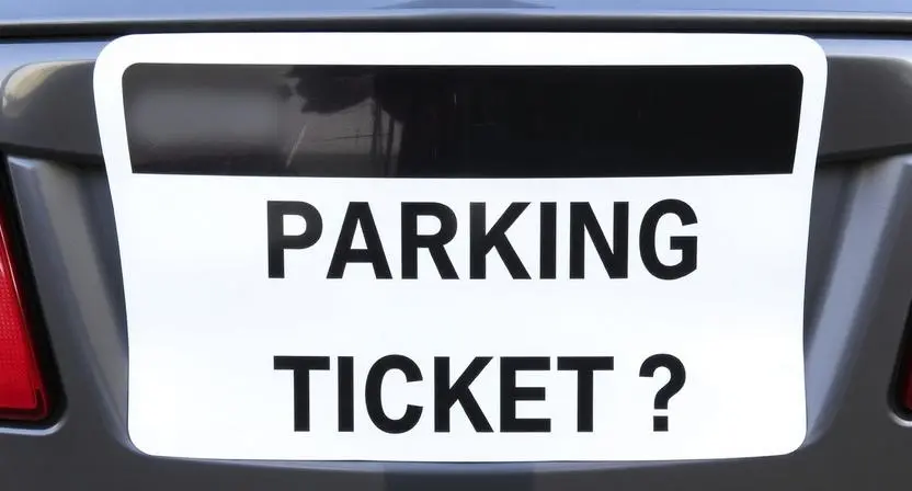 are-you-a-parking-ticket-pick-up-line
