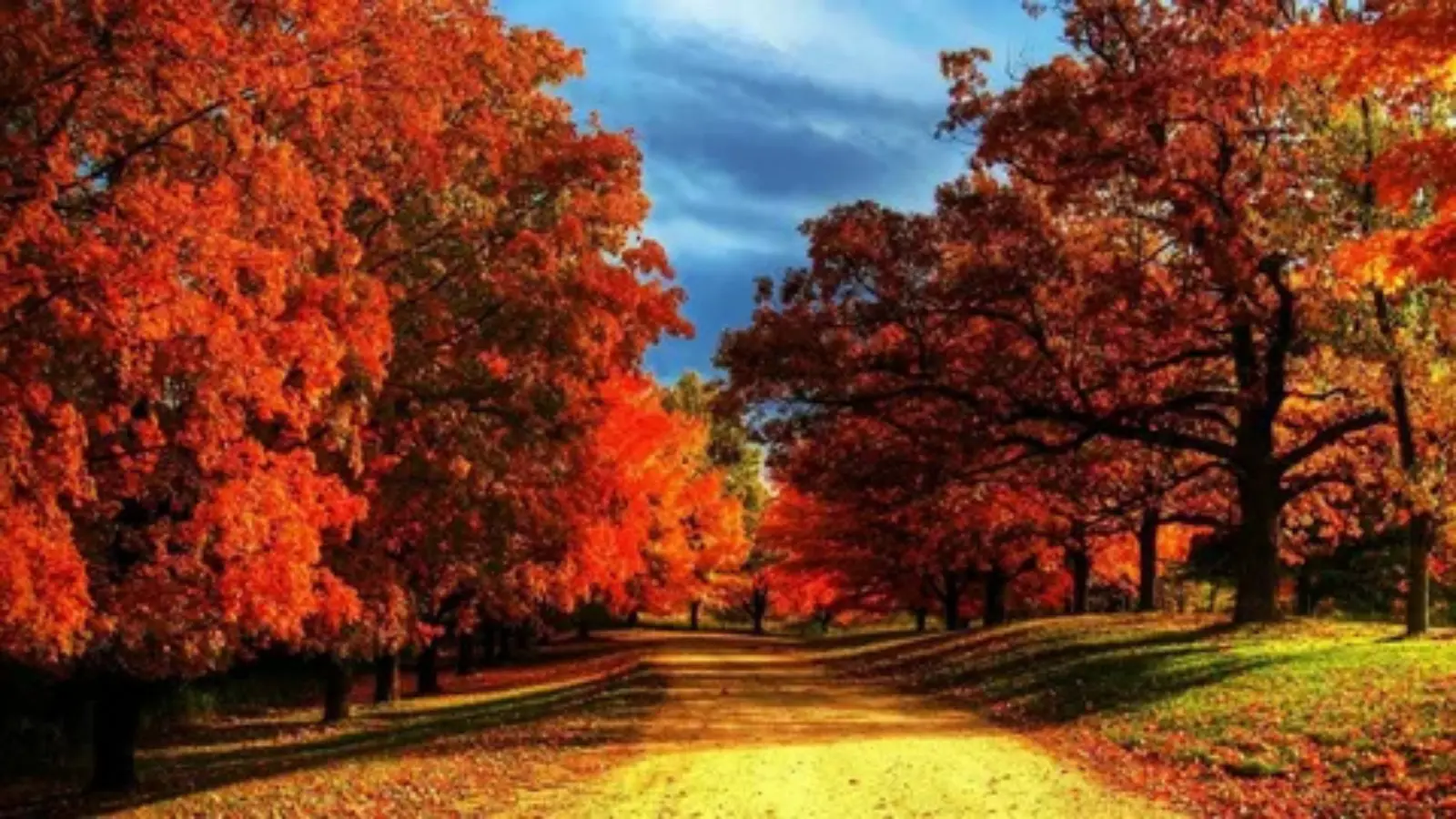 autumn pick up lines