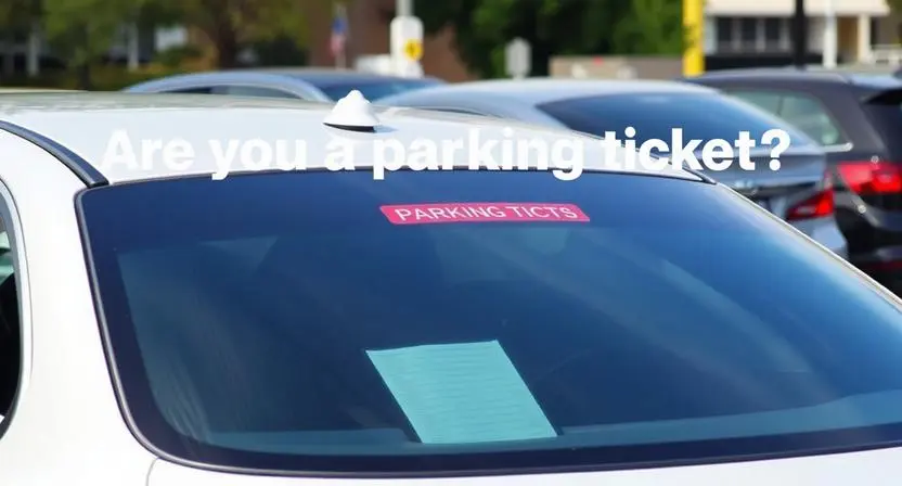 are-you-a-parking-ticket-pick-up-line