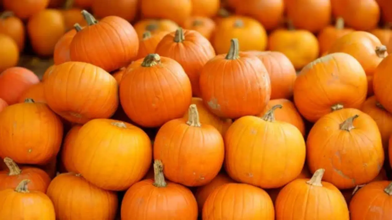 pick up lines about pumpkins