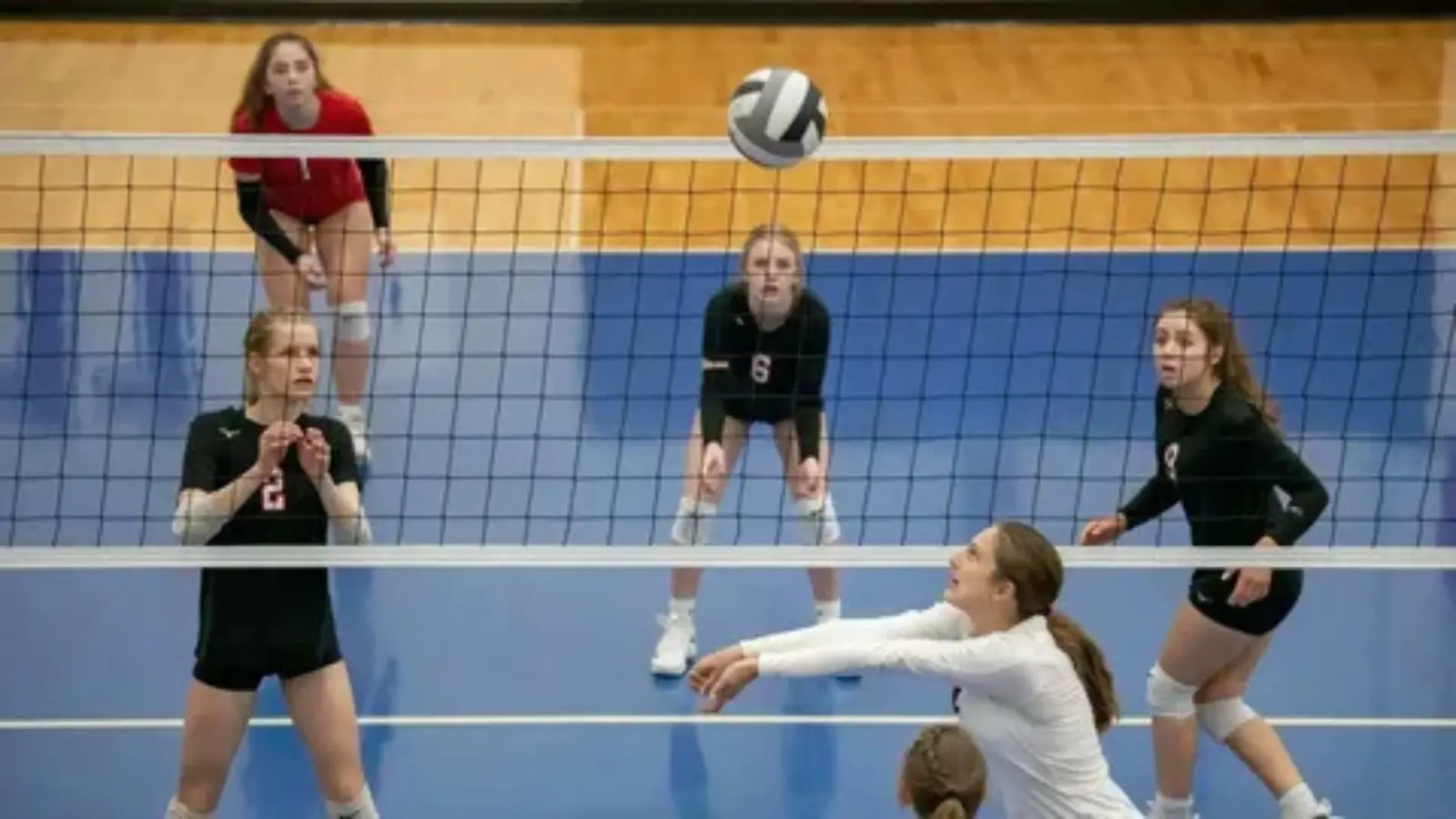 pick up lines about volleyball