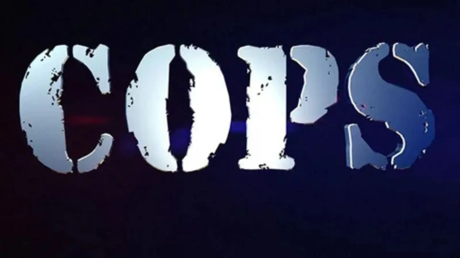 pick up lines for cops
